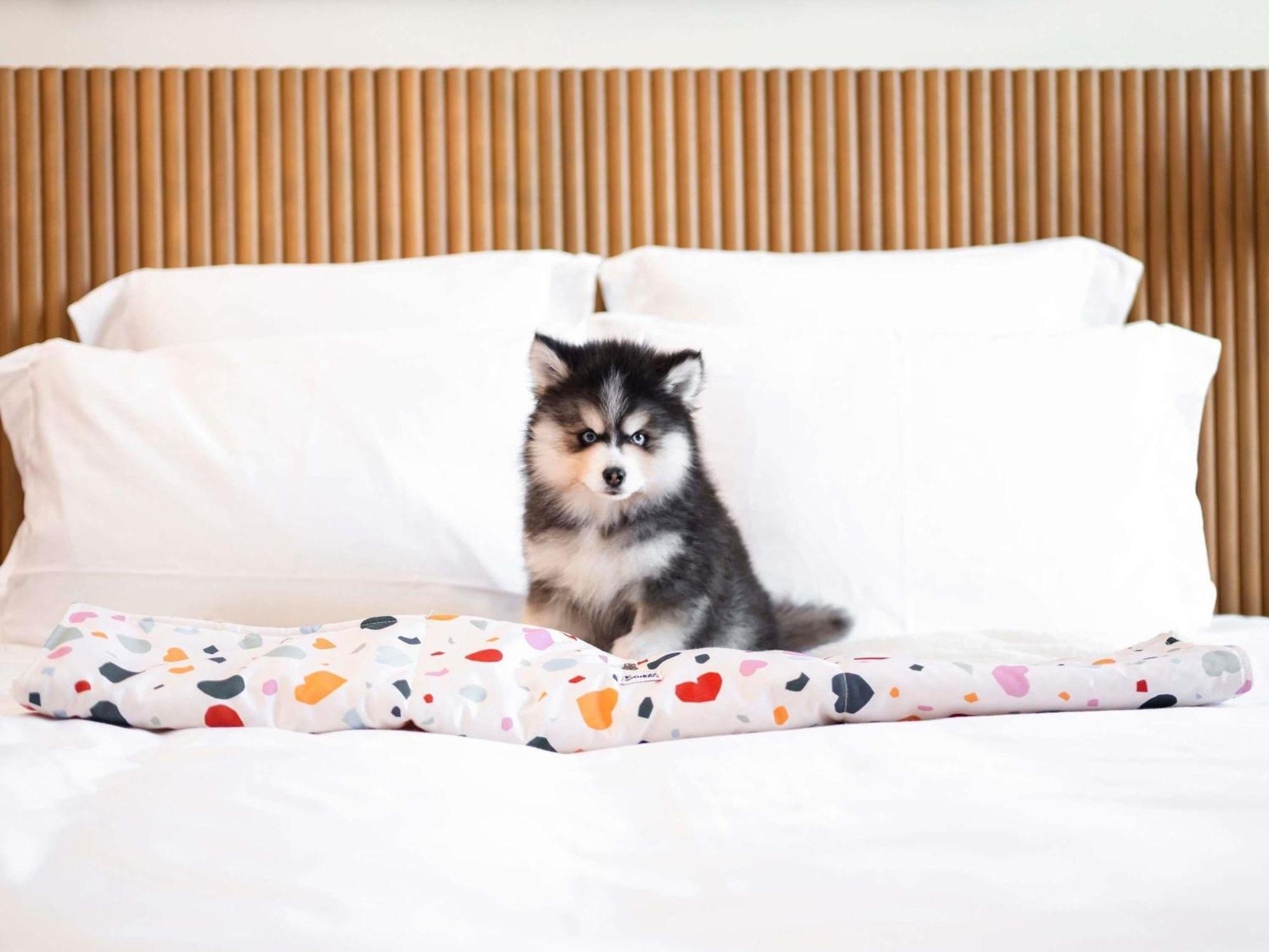 Hotel Mama Shelter Praga